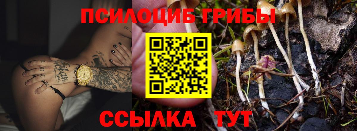 Сыктывкар  Псилоцибиновые грибы Magic Shrooms  Вход с VPN 